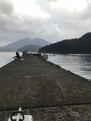 子ガッシー祭り