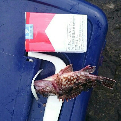 ライトゲーム(*´ω`*)