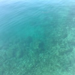 サイトガシリング♪