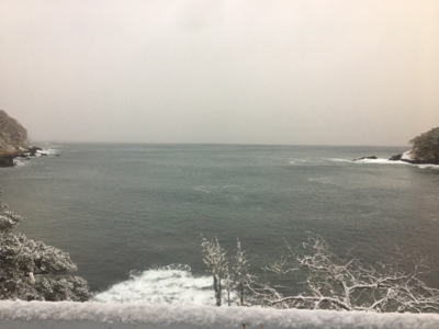 まさかのボラ！