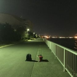 ふれーゆでメバリング