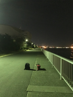 ふれーゆでメバリング