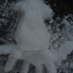 伊根から宮津までスノーランガンエギング