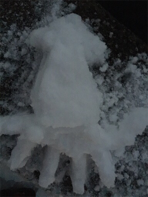 伊根から宮津までスノーランガンエギング