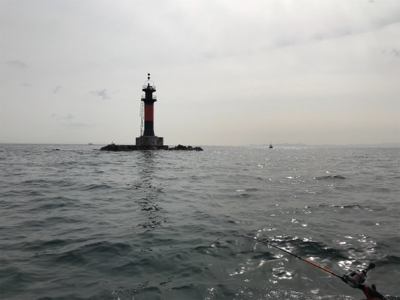 小豆島 鯛サビキ  大潮