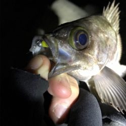 大潮満月ド干潮