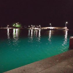 釣り初め!県南調査!セイゴ★ガシラ爆釣★