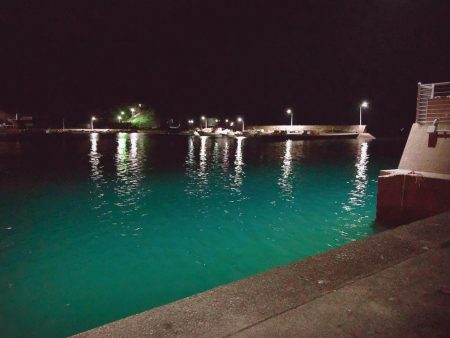 釣り初め!県南調査!セイゴ★ガシラ爆釣★