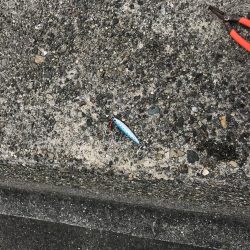 河口にメタルジグ投入！