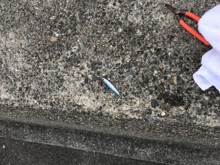 河口にメタルジグ投入！