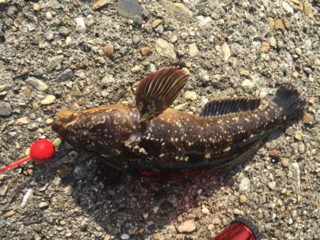 アンダースピン80を試したくて。