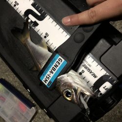 マゴバチのレッドグリゲッター間違いないです！