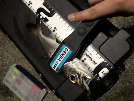 マゴバチのレッドグリゲッター間違いないです！