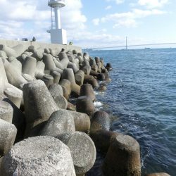 練習がてらライトゲーム