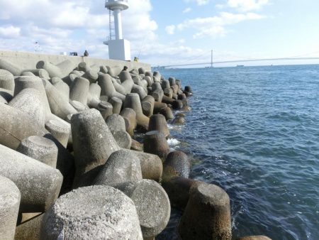 練習がてらライトゲーム