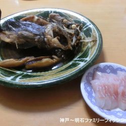 今年初のメバルは27㎝