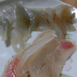 午後から根魚狙い
