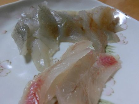 午後から根魚狙い