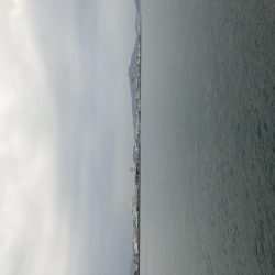 カワハギ デカ！