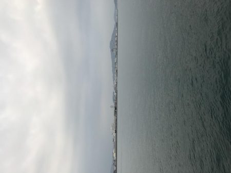 カワハギ デカ！