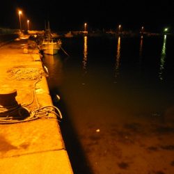 良い引きでした