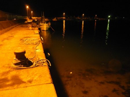 良い引きでした