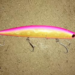 タチウオマイワシパターン継続中