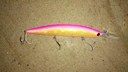 タチウオマイワシパターン継続中