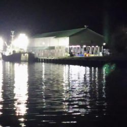 撃沈！日本海アジング…