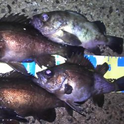 時合は突然に！