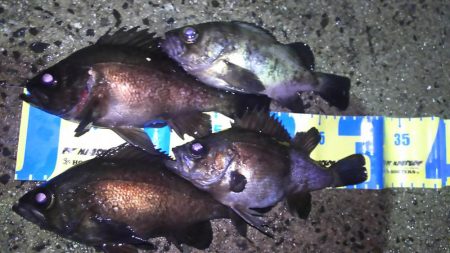 時合は突然に！