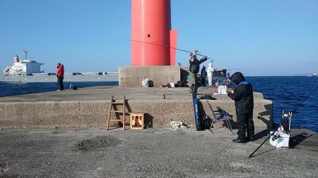 初釣行も播磨新島へ