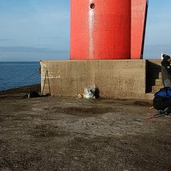 播磨新島赤灯台波止でキス狙い