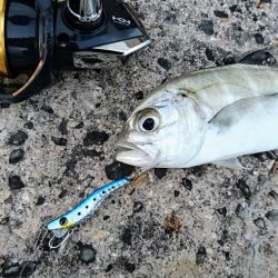 暴風の夕マズメにオニヒラアジ メタルマルでも釣れた