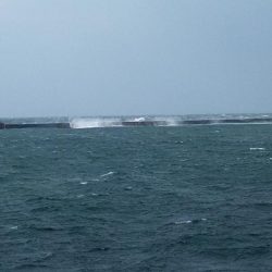 まだ釣れる播磨新島のキス