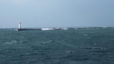 まだ釣れる播磨新島のキス