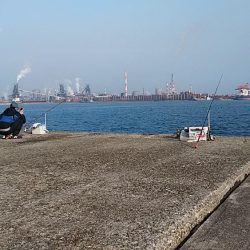 播磨新島のキス釣査