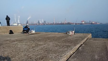 播磨新島のキス釣査