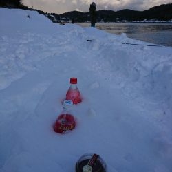 ヤリイカ狙いで……