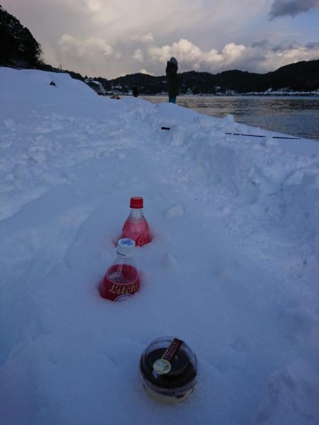 ヤリイカ狙いで……