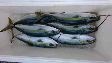 鳴門ジギング釣行