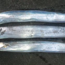 みんな頑張ってます