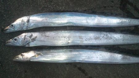 みんな頑張ってます