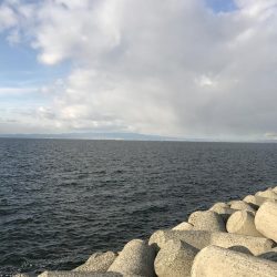 ニュータックルで初釣り。