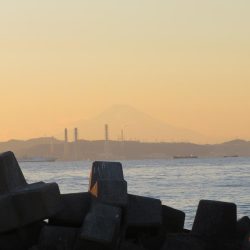 新年初釣りは不発