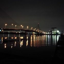 南港かもめ大橋のヘチ釣り（寒さに負けずにやってますｗ）