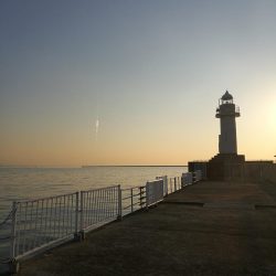 ヘチ釣りin南港海釣り公園　～久々の南港釣り公園