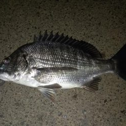 ライトゲームランガン