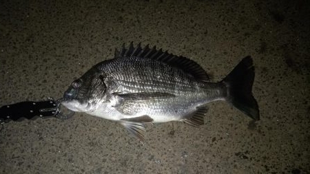 ライトゲームランガン