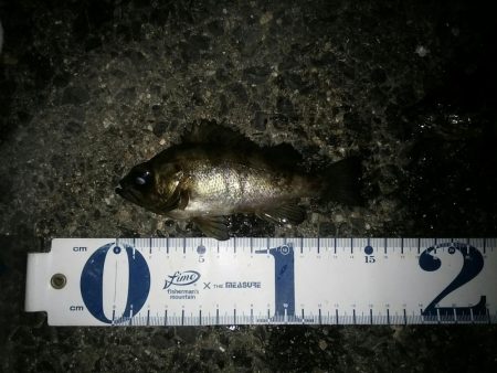 雪がちらついているなか、なんとかヒット！